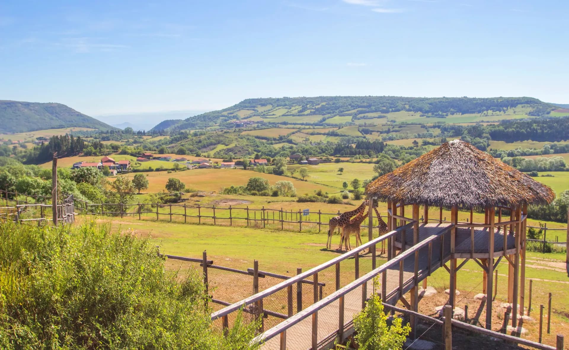 Le Parc Animalier d'Auvergne